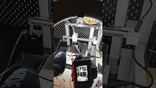 3D printed Bat Shoes LIVE