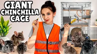 Building the ULTIMATE chinchilla cage!! ￼ ￼ ￼
