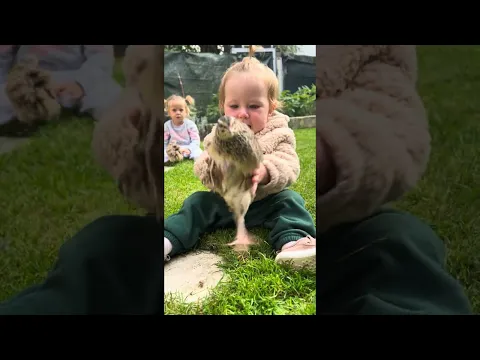 First Fluffy Friend || ViralHog