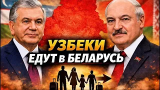 🔴 Новости сегодня: Лукашенко приглашает узбеков с семьями — миграция, работа и жизнь