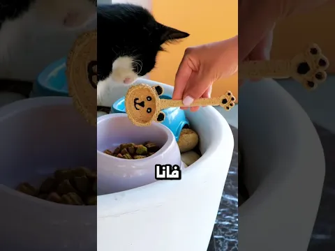 هعمل ايه بي البامبرز دا هلبسو لا ايه 😳
