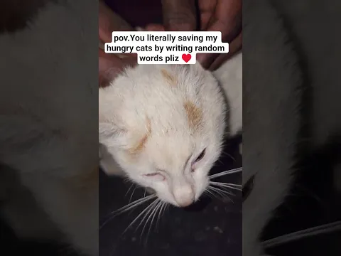 pov.shelter #help #catrescue #foryoupage #fyp #foryou #kitten #cat #lucy #animals #shorts ♥️