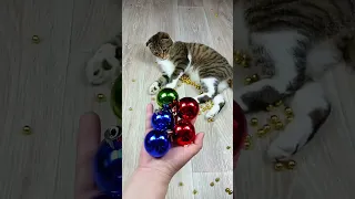 Cat Barsik Cubes 🎲🌈 Marbles 🔴 Reverse video