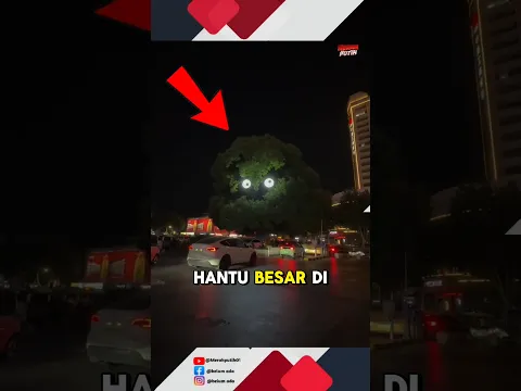 Mengerikan ada burung hantu besar di tengah kota😨