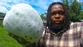18 Apocalypse-Proof Crops You've Never Heard Of