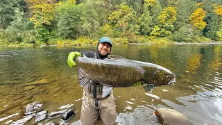 Small River Oregon Coast BANK FISHING for King Salmon 