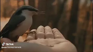 سلام على من إليهم أتوق