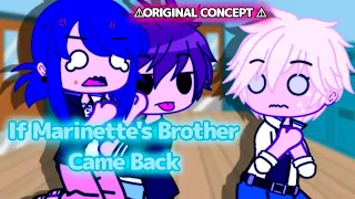 If Marinette's Brother Came Back • ⚠️ ORIGINAL CONCEPT ⚠️ • MLB AU