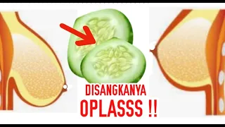 Cukup Satu Timun!!  Semua Berubah Dalam Hitungan Hari !!