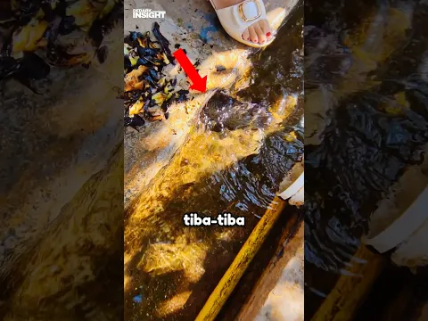 This fish thinks it's free, but wait until you see what's next 🗿