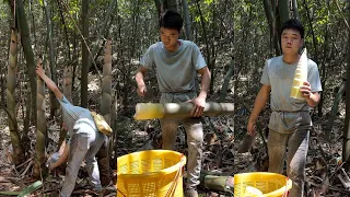 There are so many bamboo shoots in this one