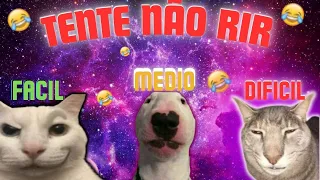 SUPER COMPILADOS TENTE NÃO RIR