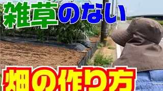 【雑草のない畑のために】【畑に除草剤は使いません】私はこうしています。雑草対策