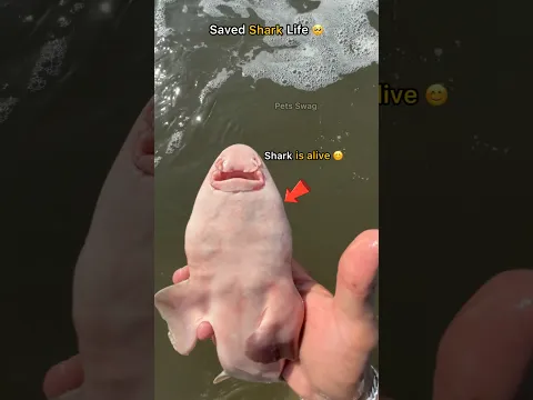 He was dying in the net… but I didn’t give up 🥺