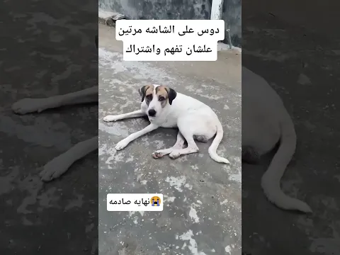 دوس على الشاشه مرتين علشان تفهم واشتراك (نهاية صادمه)#short #shorts #shortvideo #song #اكسبلور