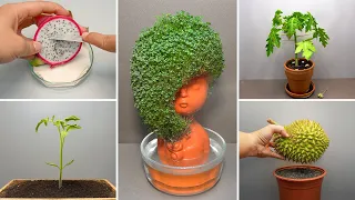 Growing Plants Compilation #3 - 245 Days Time Lapse