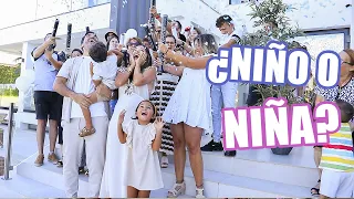 REVELAMOS el SEXO del BEBÉ + REACCIÓN más SORPRENDENTE | BABY GENDER REVEAL |