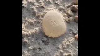 یافتن در نجف در حوالی قبرستان وادی السلام