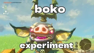 Boko sience/TOTK