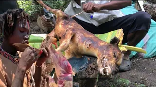 Hadzabe Successfully Hunt Alot of Meat for Breakfast | Hunt to Survive