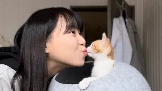 [공지] 새로운 가족이 생겼습니다.