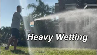 Help!!! My Lawn is Dying this Summer!  3 SIMPLE tips to REVIVE IT