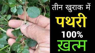 3 मिनट का यह वीडियो जिंदगीभर काम आयेगा नही तो बाद में पछताओगे// pathri ka ilaj