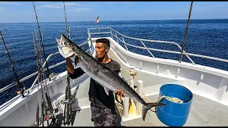 صيد اسماك الKingfish (دراك) وانواع اخرى من الاسماك كميات رهيبة 😱🔥