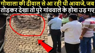गौशाला की दीवाल से आ रही थी आवाजे, जब तोड़कर देखा तो पुरे गांववाले के होश उड़ गए