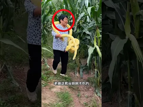 This grandmother 👵 have a 500 iQ 🤯 | UNBELIEVABLE 👌😱