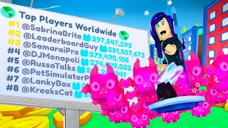 I got 15 of the BEST RAINBOW PET and NUMBER 1 ON THE LEADERBOARD in Pet Simulator X