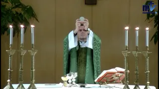 La Santa Misa de hoy | XXIV Domingo Ordinario | 17-09-2023 | P. Javier Martín, FM