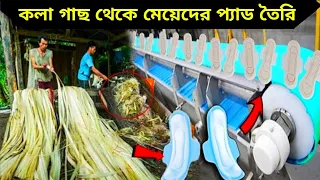 কিভাবে কলাগাছ দিয়ে সবথেকে দামী কোম্পানি মেয়েদের প্যাড তৈরি করছে। Banana Fibre Pad Making Factory