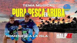 🎵 Pura Pesca en Aruba – Hermanos a la Pesca 🌴🎣#hermanosalapesca #halp4k