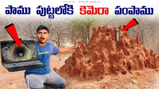 Entering Endoscopic📷Camera Into Snake🐍House🤯 పాము పుట్టలోకి కెమెరా కి పంపాము...😲😲 Telugu Experiments