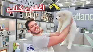 راح تنصدم من عالم الحيوانات بامريكا ولاية اوهايو