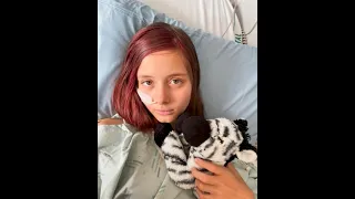 Amazing Annabel and Her Quest To Meet Harry Styles - Kea Kids News