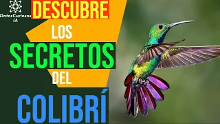 EL COLIBRÍ. LA AVE MÁS PEQUEÑA DEL MUNDO. CONOCE SUS SECRETOS MEJOR GUARDADOS (EN 3 MINUTOS)