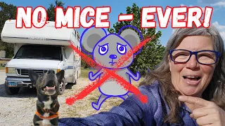 NO MORE MICE!!! My Secret Weapon for Keeping Mice Out of my RV Motorhome