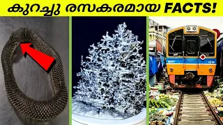 സ്വൊയം വിഴുങ്ങുന്ന പാമ്പും കാട്ടിലെ എഞ്ചിനീയർമാരും | Interesting Random Facts | Ashik Uncovered |