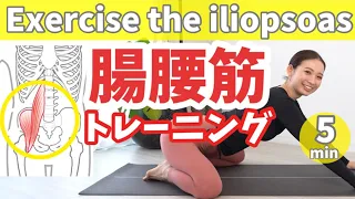 【腸腰筋】股関節がポキポキなる！脚が太い！下腹が出てる！腰痛がある！みんなコレやって！ BY273