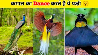 कमाल का Dance करते हैं यह पक्षी 😯 | Top 5 Best Dancer Bird In the World 🌎 | #birds #facts