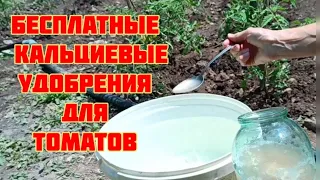 Two Free Calcium Fertilizers + Budget-Friendly Remedy for Blossom End Rot
