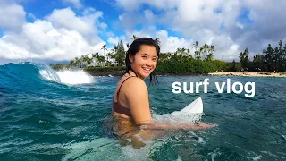 a week surfing on the north shore, hawaii 🌺