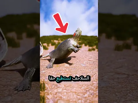 🐢 لماذا لا تستطيع السلاحف نزع أصدافها؟ الحقيقة المذهلة! 😱