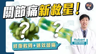 關節痛新救星！強強聯手：修復軟骨 + 速效緩痛 ｜6分鐘認識UC-II 、葡萄糖胺、軟骨素、草本成分｜健康嗎@HealthCodeHK【Chat醫D】#關節痛