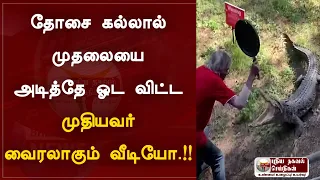 தோசை கல்லால் முதலையை அடித்து ஓட விட்ட முதியவர் !!