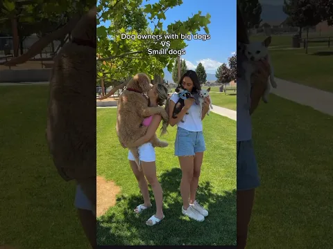 Just a couple differences 👀 #dogs #dogcomedy
