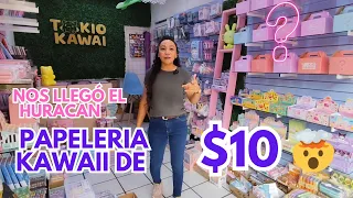 Nos llegó el Huracán a mitad del vídeo 🙀🌪️ Papelería Kawaii desde $10 🤯🌈✨