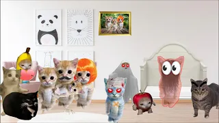 The Story of Elgato Dad : Episode 8 The Family Unites Again 🐱❤️